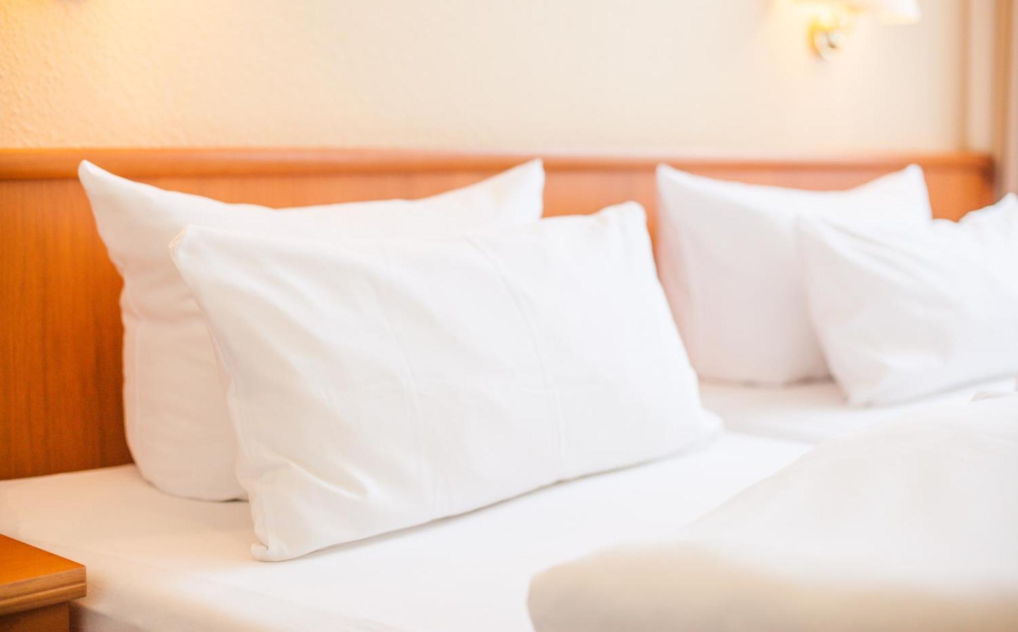 Hotel Sure By Western 4*